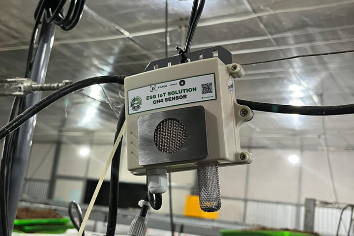 demeter tieu chuan huu co quoc te ve trong dua